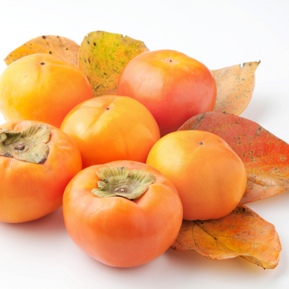 種を簡単に取る切り方も！柿の長持ち保存方法…選び方のコツから冷凍保存の仕方まで