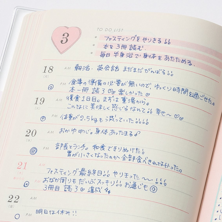 いい女.diary 2019　Discover21　ダイアリーメモ