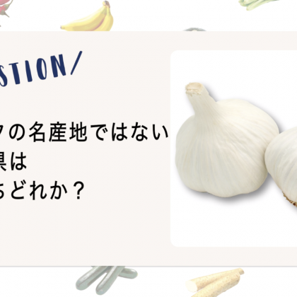 【野菜クイズ♯1】ニンニクの名産地で仲間ハズレはどれ？