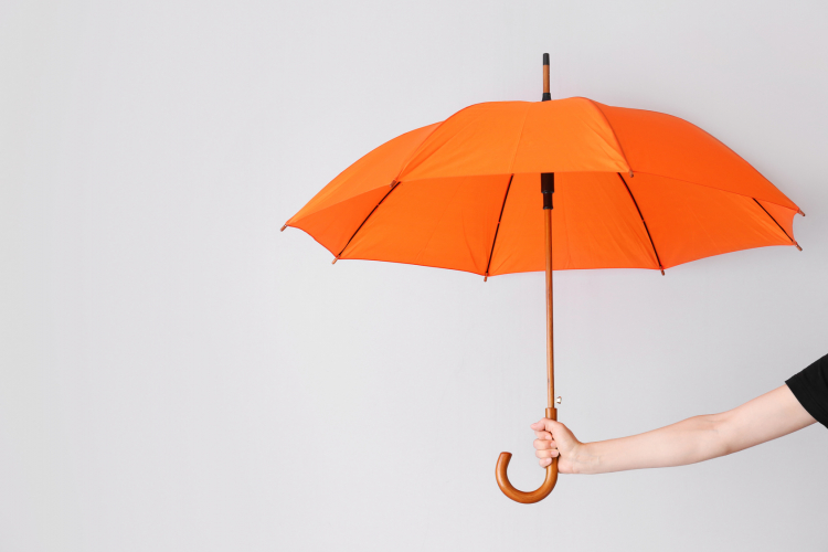 ビニ傘？それとも、折りたたみに長傘…女性に聞く「愛用の1本」最も選ばれた傘は