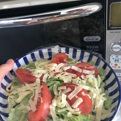 野菜も肉もチンするだけの「レンチンレシピ」大調査！試したい超時短メニューずらり〈おかず編〉