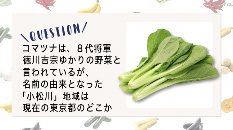 【野菜クイズ♯2】小松菜の由来は、東京の○○川だった!?