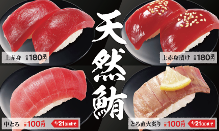 【明日10日から】天然鮪の中トロが1貫100円！かっぱ寿司が「天然鮪と春の旨いネタ」フェア開催