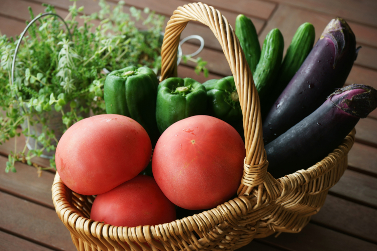 きゅうり、トマト、なす…「夏野菜の大量消費レシピ」家族がもりっと食べたメニューを集めました