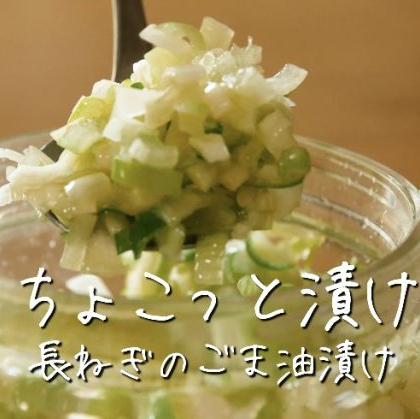 ごま油と塩だけでヤミツキ必至！無限に食べられる「長ねぎのごま油漬け」を作ろう！【ちょこっと漬け♯15】