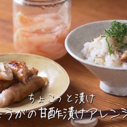 手作りの「新しょうがの甘酢漬け（ガリ）」で免疫力アップ！ごはんに混ぜたり、お肉に巻いたら…おいしすぎた！【ちょこっと漬け♯32】