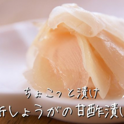 「新しょうが」の甘酢漬け（ガリ）の作り方！まとめて作っておくと便利です【ちょこっと漬け♯31】