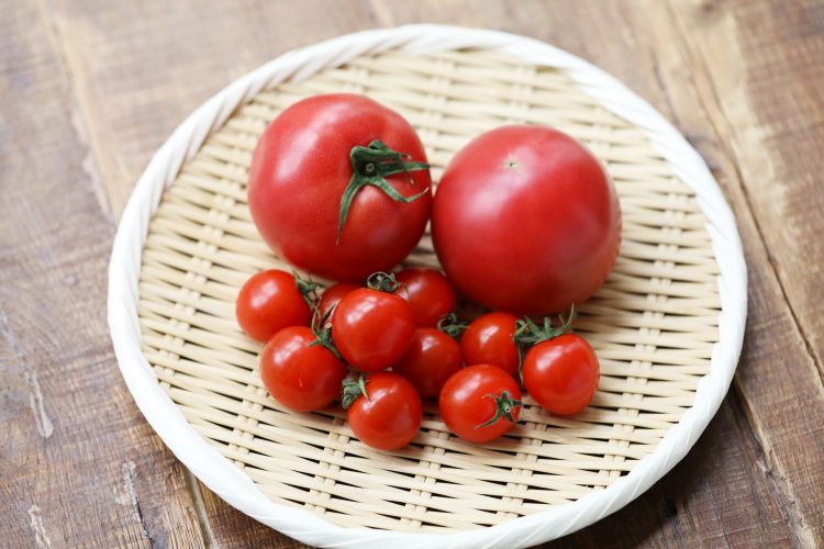 「トマト」の高い栄養価に注目！保存方法・上手な切り方まで【管理栄養士監修】