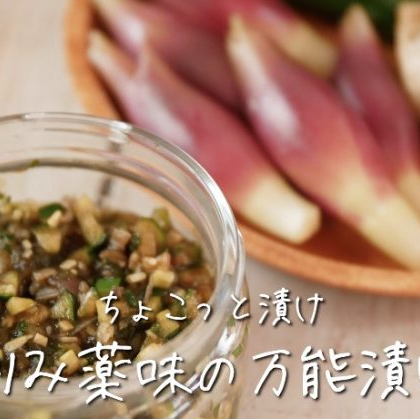 「刻み薬味の万能漬け」が何にかけても万能すぎる！ネバネバで夏バテ回復も【ちょこっと漬け♯41】