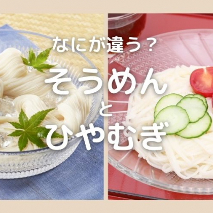 「そうめん」と「ひやむぎ」なにが違う？【食べ物の違い豆知識】