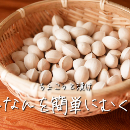 ぎんなんを簡単にむく方法は…「封筒に入れてレンチン」がお手軽だった！【ちょこっと漬け♯51】