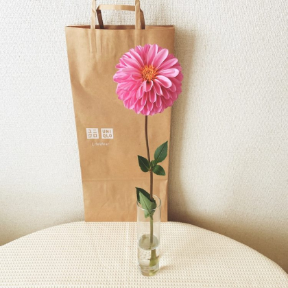 服だけじゃなくお花も買える…1束390円「ユニクロの生花」【本日のお気に入り】