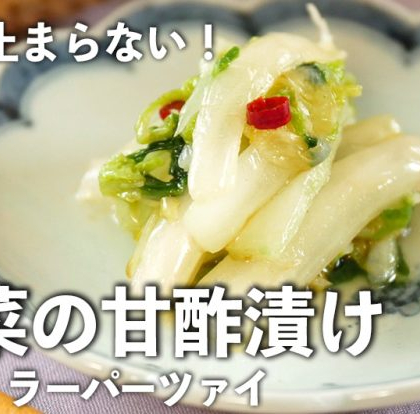 白菜を中華風に！さっぱり甘酢漬けの「ラーパーツァイ」に箸が止まらない【ちょこっと漬け♯63】