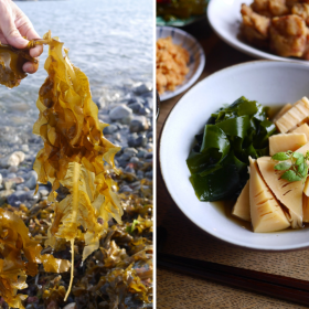 春の海でワカメ拾い。我が家の食べ方はこんな風に…【お米農家のヨメごはん#75】