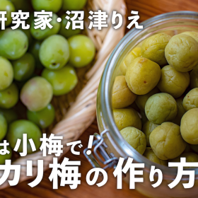 今年は小梅で「カリカリ梅」を作ろう！2週間～で食べられます【沼津りえの季節の手仕事#13】