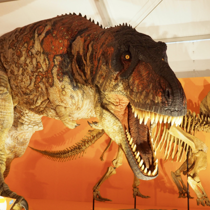 ど迫力！「オダイバ恐竜博覧会2024」がGWまで開催中。フジテレビで実物大のティラノサウルスロボが吠え叫ぶ