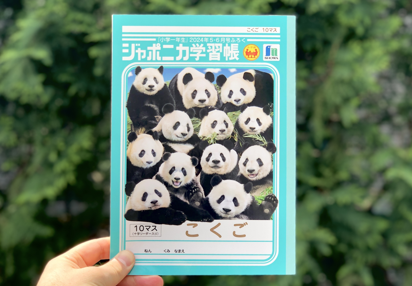 どれがシャオシャオ？「パンダの顔当てクイズ」表紙が話題のジャポニカ学習帳はマニア編集者、渾身の一冊