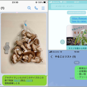 知らなきゃ損？LINEの「ひとりグループ機能」が便利すぎる！みんなの使い方を聞いてみた【本日のお気に入り】