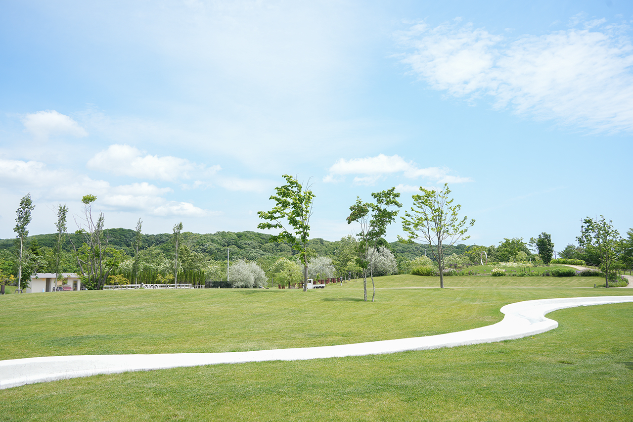 夏休みの子連れ旅にぴったり！無料エリアも充実の北海道「ナチュの森」