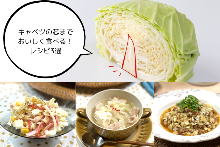 「キャベツの芯」は捨てずに料理に！硬い芯が美味しく変身するレシピ。葉より甘みがあって実は美味