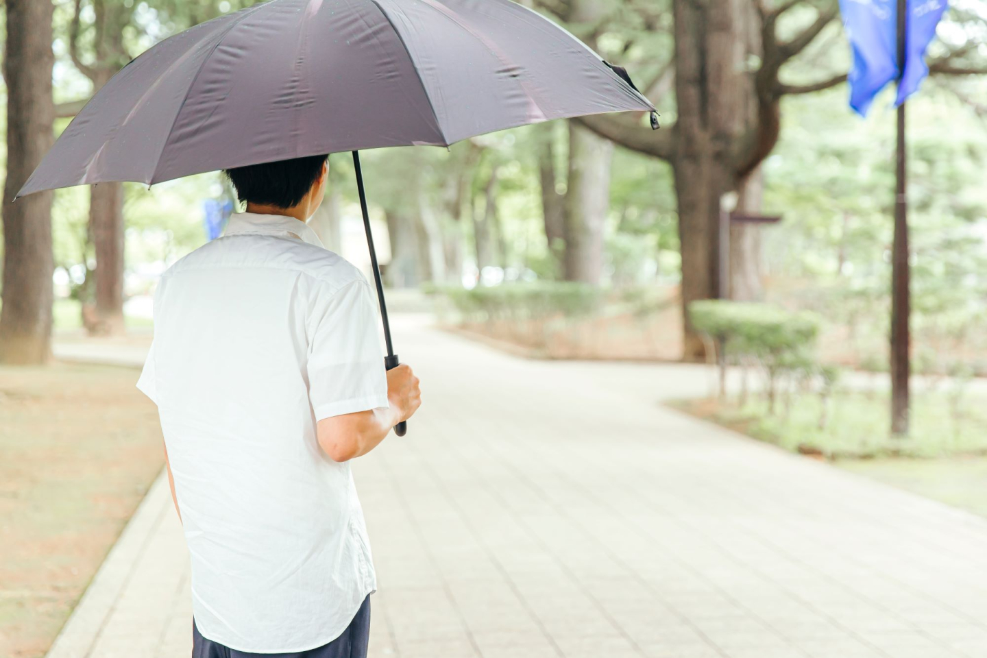 みんなが日傘を使うように！「長く厳しくなった夏」に、自分や家族を守るために変えたこと