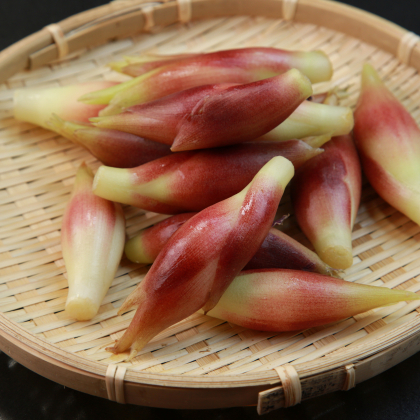 「みょうがの大量消費」にぴったり！漬物から汁物まで、秋にも美味しいレシピが大集合