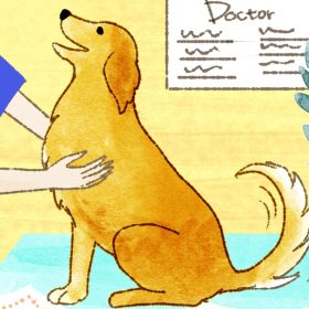 【夢占い】「犬の夢」の意味は？ 犬の印象、行動、自分の感情など、状況別「132のキーワード」から解析