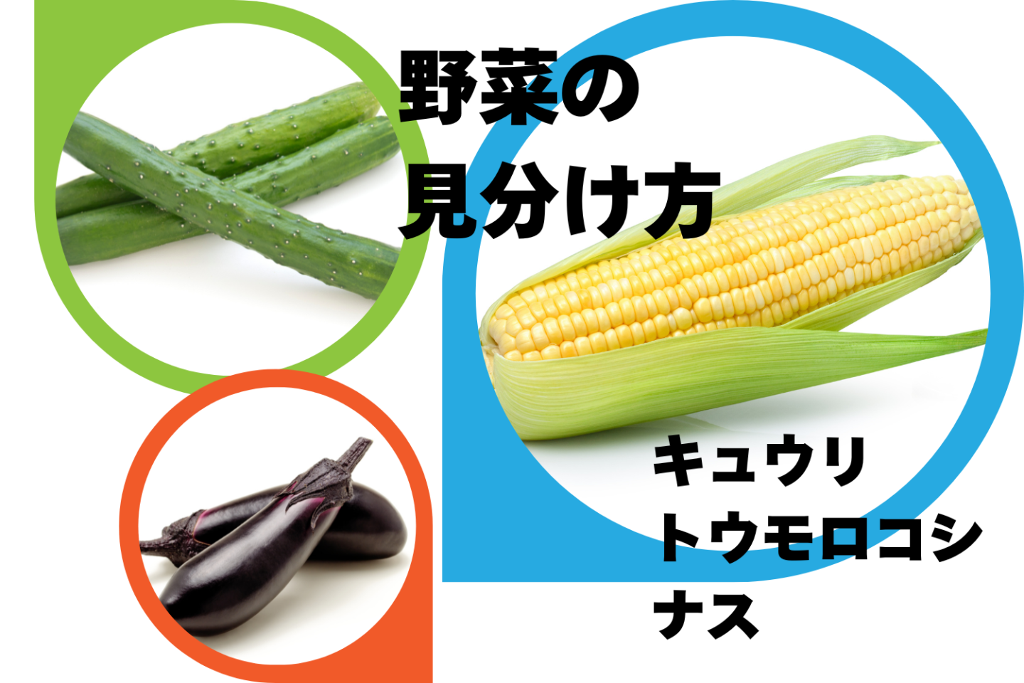 新鮮な野菜を選ぶなら、ここをチェック！【キュウリ・トウモロコシ・ナス】保存方法と見分け方