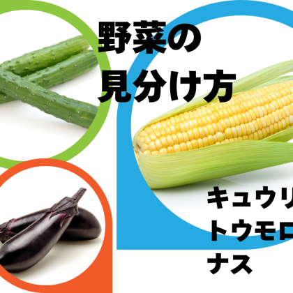 新鮮な野菜を選ぶなら、ここをチェック！【キュウリ・トウモロコシ・ナス】保存方法と見分け方