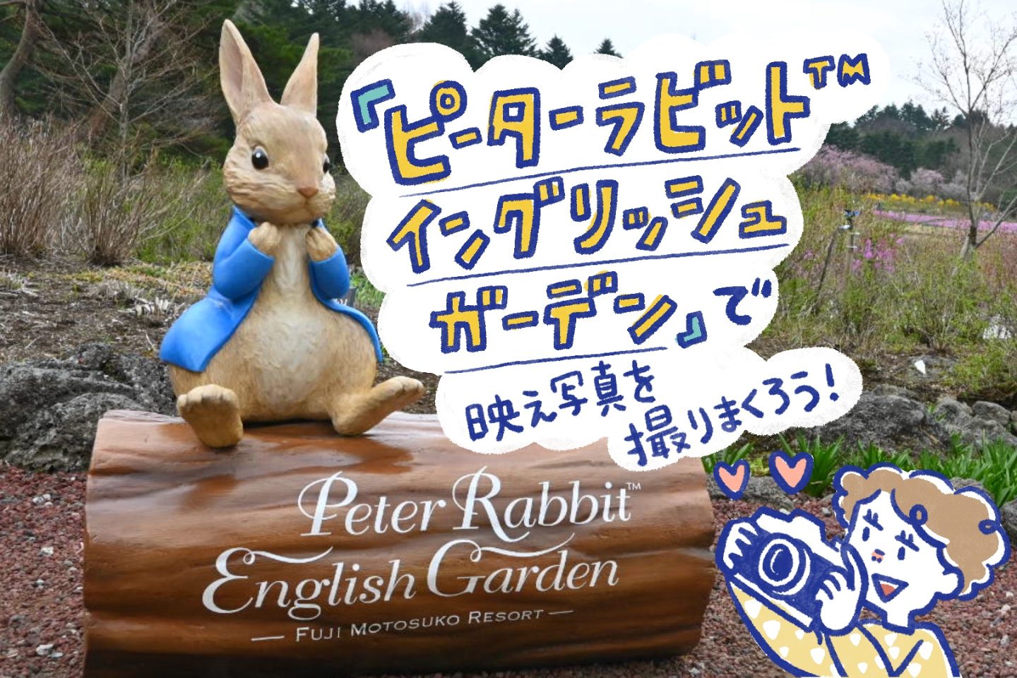 本格英国式庭園「ピーターラビット イングリッシュガーデン」はこれから見ごろ！富士山と芝桜も堪能