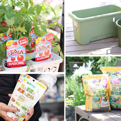 「たくさん収穫したいなら、土と肥料はケチらないで！」初心者は苗から始めて、土壌づくりに投資せよ