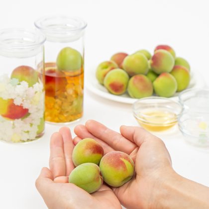 梅酒の季節はもうすぐ！今年の採れたて南高梅で仕込む「蝶矢“旬の”梅酒キット」の予約がスタート！自分好みにアレンジも