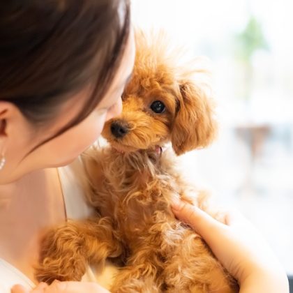 値上げの波はペット業界にも！人間が我慢してでも…「ケチれない費用」「どうにかケチる費用」