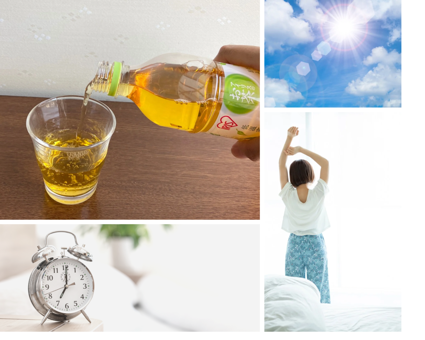 「緑茶」で朝活中！飲む時間によって紫外線ストレスの回避にもなるらしい！【本日のお気に入り】