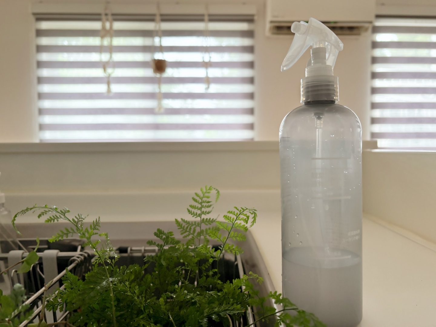 無印良品の「観葉植物の栄養スプレー」を使って3年目！葉っぱが生き生き…2週に1回のお手入れがラクで手放せません【本日のお気に入り】
