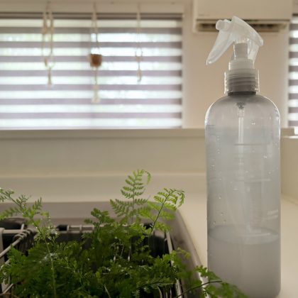 無印良品の「観葉植物の栄養スプレー」を使って3年目！葉っぱが生き生き…2週に1回のお手入れがラクで手放せません【本日のお気に入り】