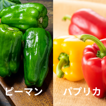 「ピーマン」と「パプリカ」って何が違うの？味・栄養価・調理法・保存法の違いまで全解説！