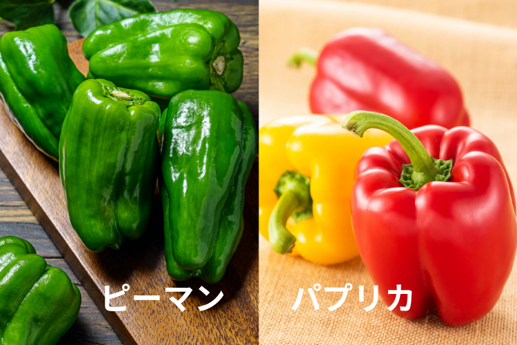 「ピーマン」と「パプリカ」って何が違うの？味・栄養価・調理法・保存法の違いまで全解説！