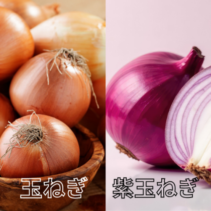 玉ねぎと紫玉ねぎって何が違う？管理栄養士が解説。栄養も味も紫玉ねぎには魅力がつまってた