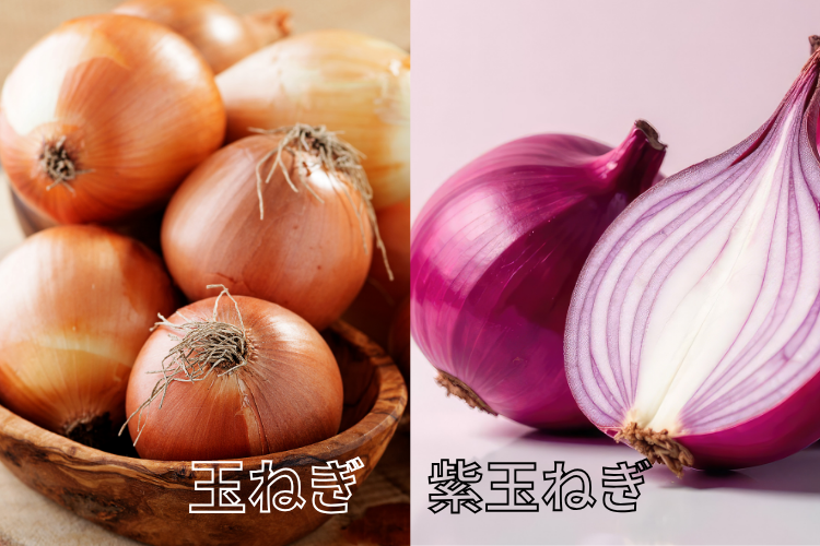 玉ねぎと紫玉ねぎって何が違う？管理栄養士が解説。栄養も味も紫玉ねぎには魅力がつまってた