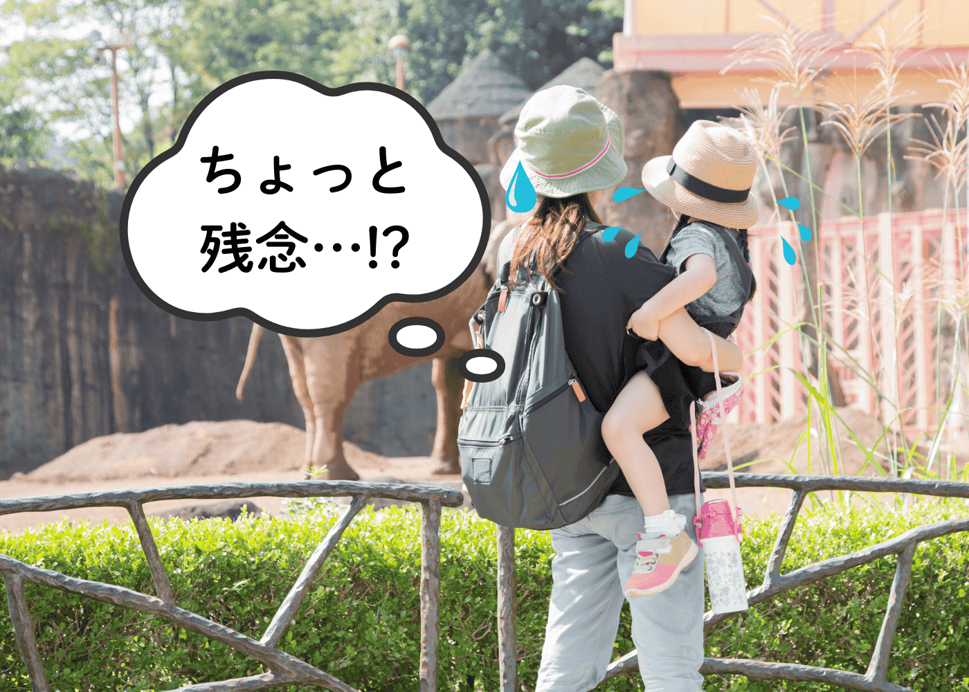 なんか違う…！イラストと実物のギャップにがっかりした「ちょっとざんねんな動物」事典