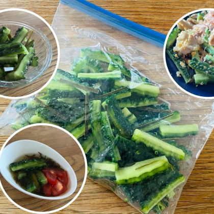 ゴーヤーの調理に悩んだら「ごま油漬け」にしてほしい！最高に簡単＆アレンジ自在で、冷蔵庫にないと寂しくなるほど