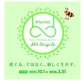 捨て方に迷うブラ…「ワコール」店舗で回収するリサイクルプログラムがスタート！ワコール以外のブランドもOK