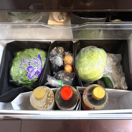 【ニトリのおすすめ】冷蔵庫の野菜室がスッキリ整う！「抗菌野菜収納袋」で紙袋収納から卒業しました