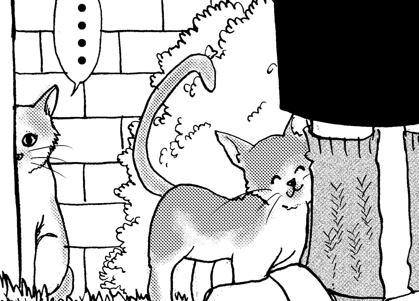 【漫画で読む】「88歳一人暮らしの母が猫を拾いまして」小越なつえさんによるコミックエッセイ