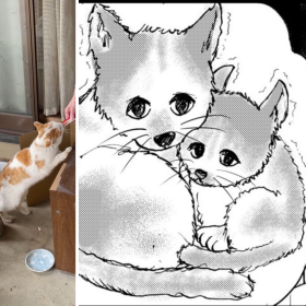 「88歳一人暮らしの母が猫を拾いまして」漫画家の娘が描く、高齢者と保護猫の関係