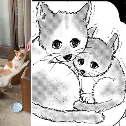 「88歳一人暮らしの母が猫を拾いまして」漫画家の娘が描く、高齢者と保護猫の関係